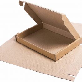 100 x Brown PIP C4 Size Kraft Large Letter Cardboard Boxes